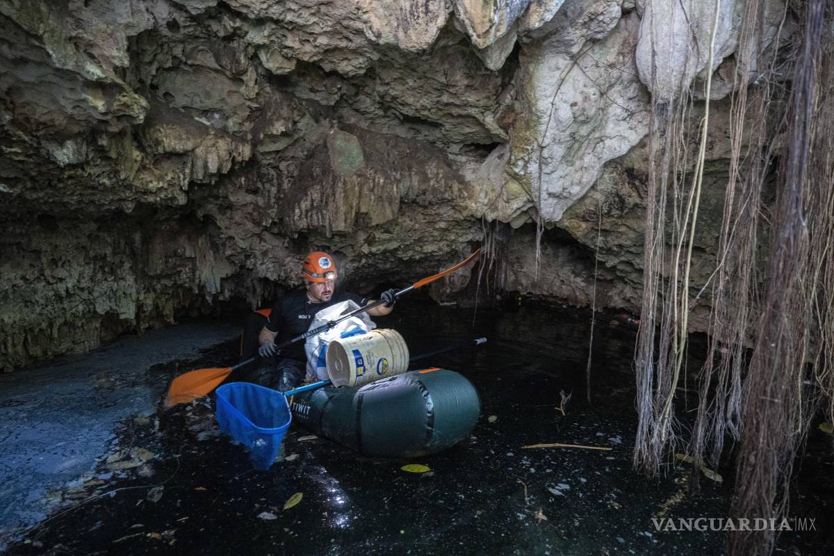 El mundo subterráneo bajo la península de Yucatán está siendo amenazado por el Tren Maya
