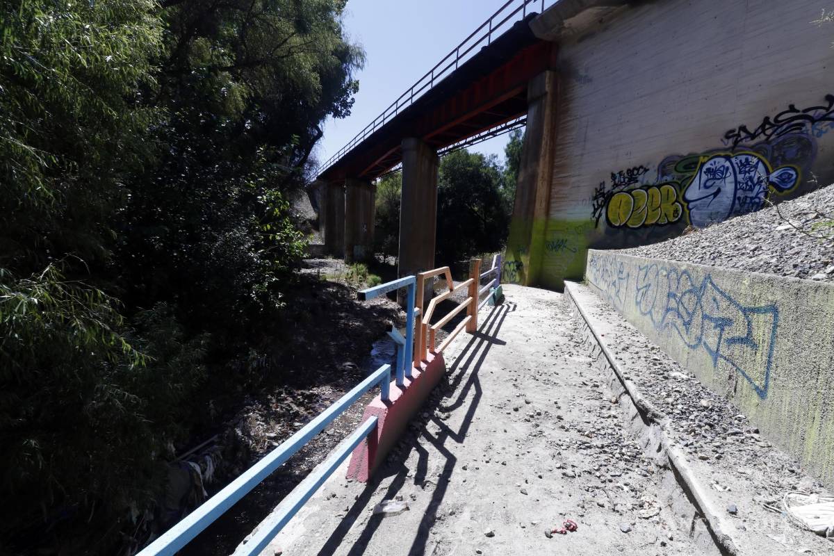 Parque ‘hundido’ de Saltillo, entre hierbas, basura y olvido