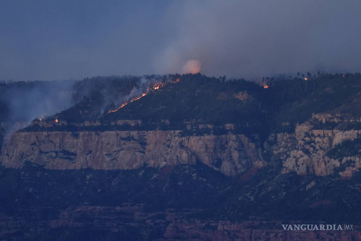 $!El incendio Dragon Bravo que arde en el ramal norte del Gran Cañón fue provocado por un rayo el 4 de julio.