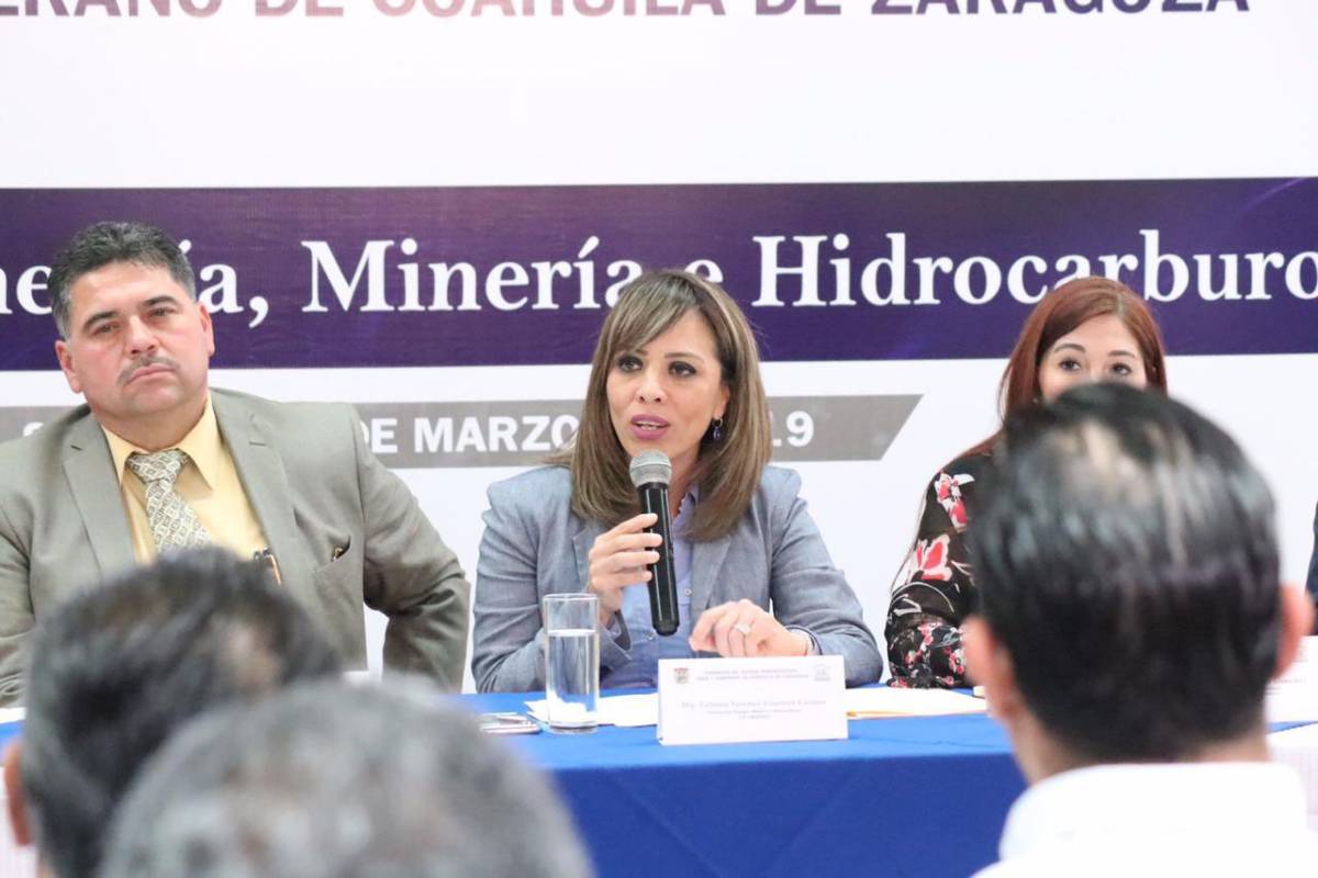 Están en riesgo más de 10 mil empleos directos en la Región Carbonífera