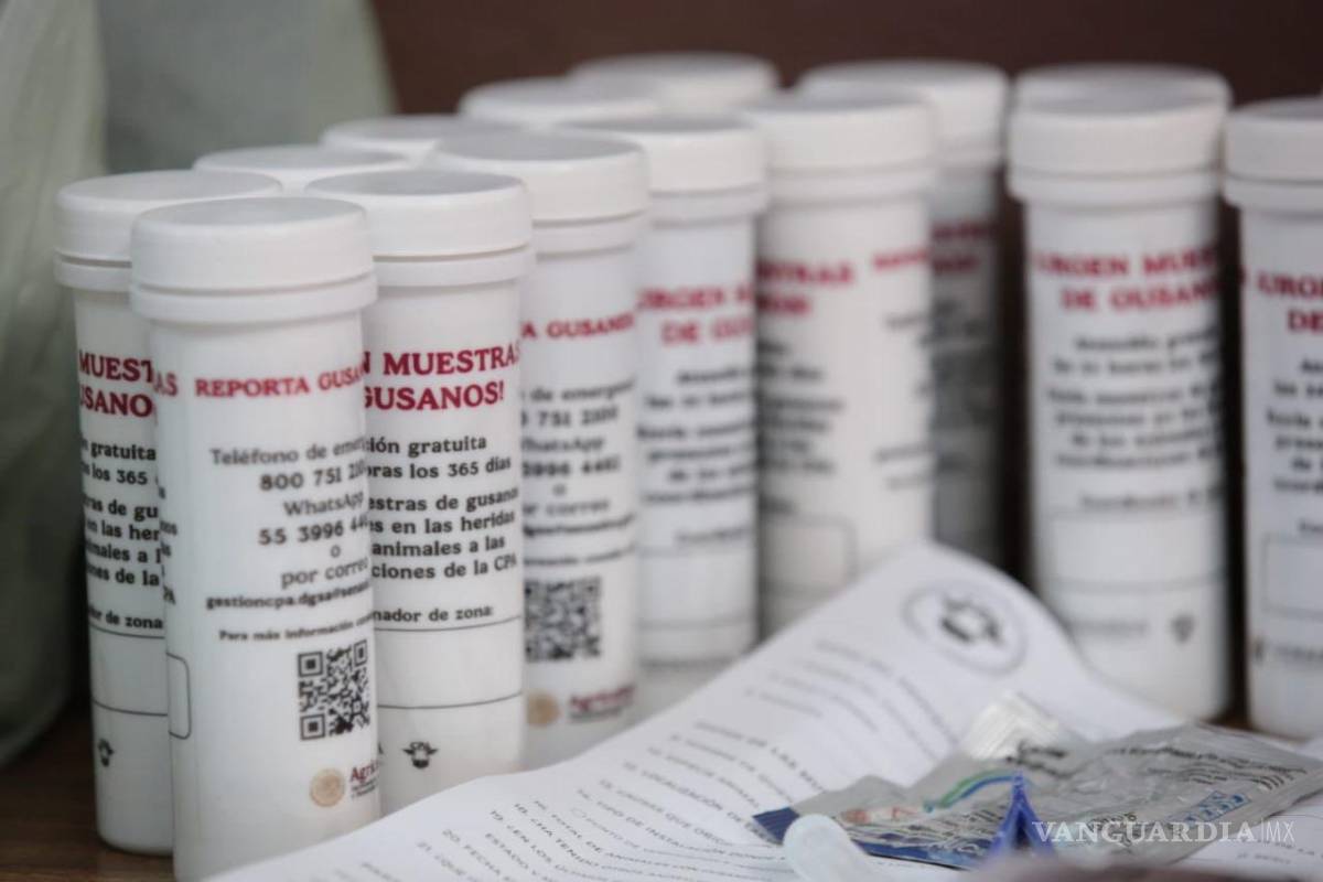 $!El sector ganadero y autoridades están reforzando las acciones para evitar que el gusano barrenador se presente en la localidad.