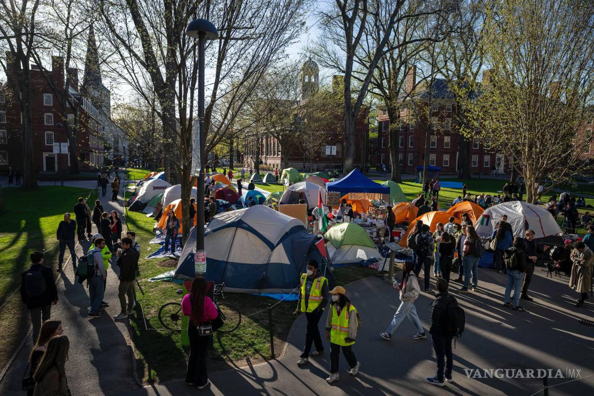 $!Estudiantes protestan contra la guerra en Gaza en el campus de la Universidad de Harvard, el 25 de abril de 2024, en Cambridge, Massachusetts.