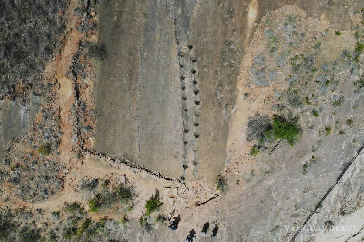 Científicos logran documentar la mayor colección de huellas de dinosaurios en Bolivia