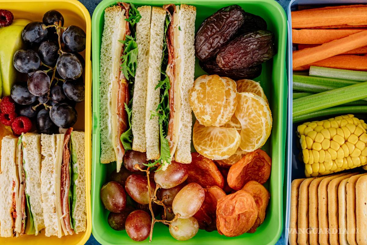 Lunches saludables y fáciles para el regreso a clases: ideas prácticas para todos los días