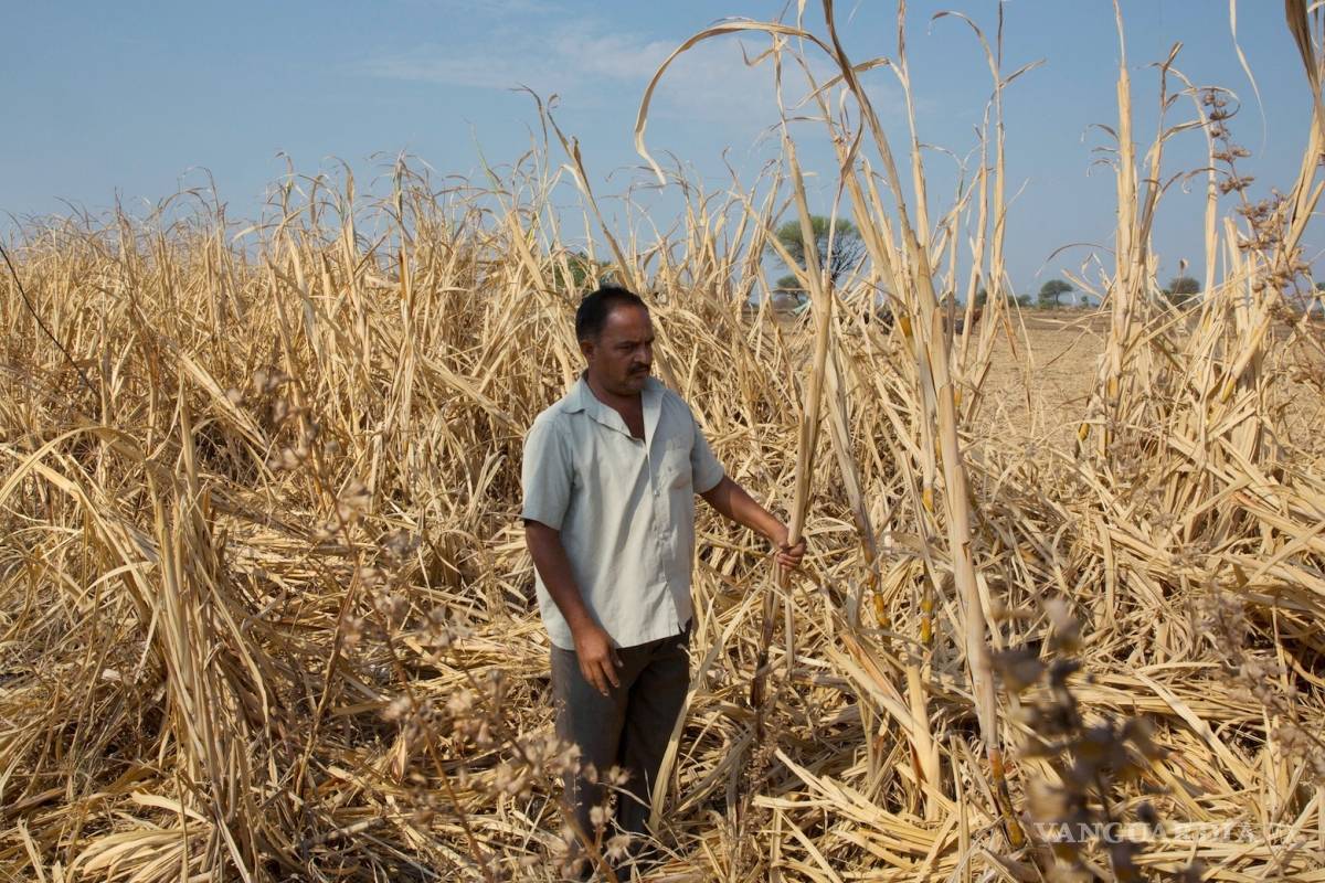 Calentamiento global causa suicidios en La India