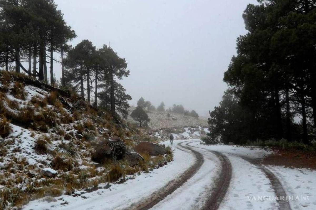 Caerá nieve en estos estados; advierte SMN sobre heladas en todo México por Frente Frío 15