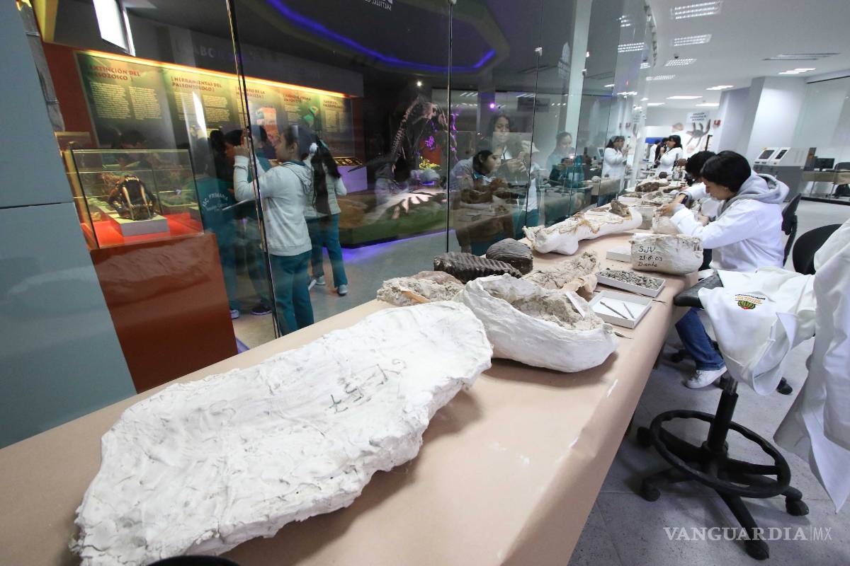 $!Museo del Desierto de Saltillo acerca a la gente a sus investigadores para que aprecien su trabajo en laboratorio