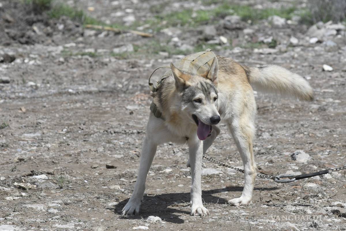 $!Se suma Protección Civil de NL a búsqueda de Lluvia Estefanía en Coahuila