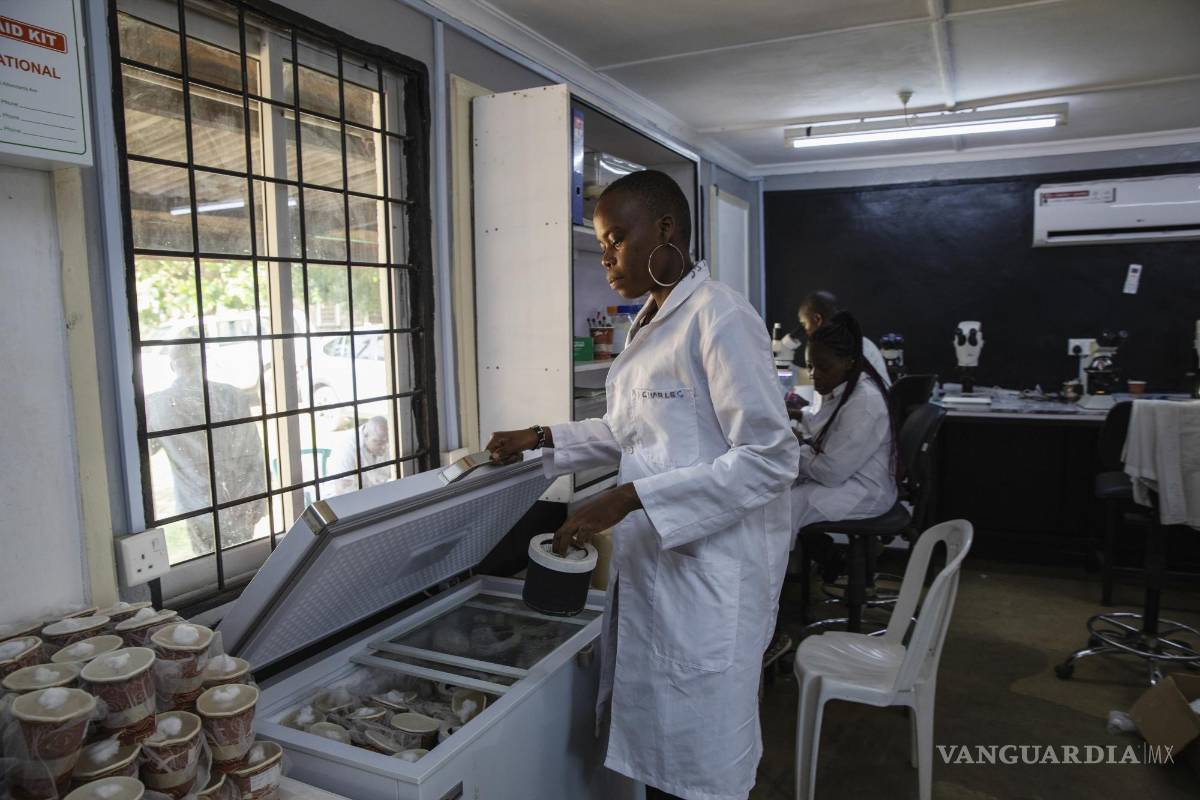 $!Hace menos de una década, eran los humanos quienes parecían haber obtenido una clara ventaja en la lucha, de más de un siglo, contra el mosquito.