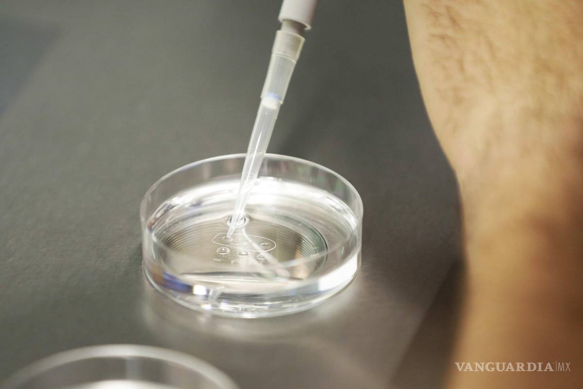 Ahora ya puedes elegir el sexo de tu hijo