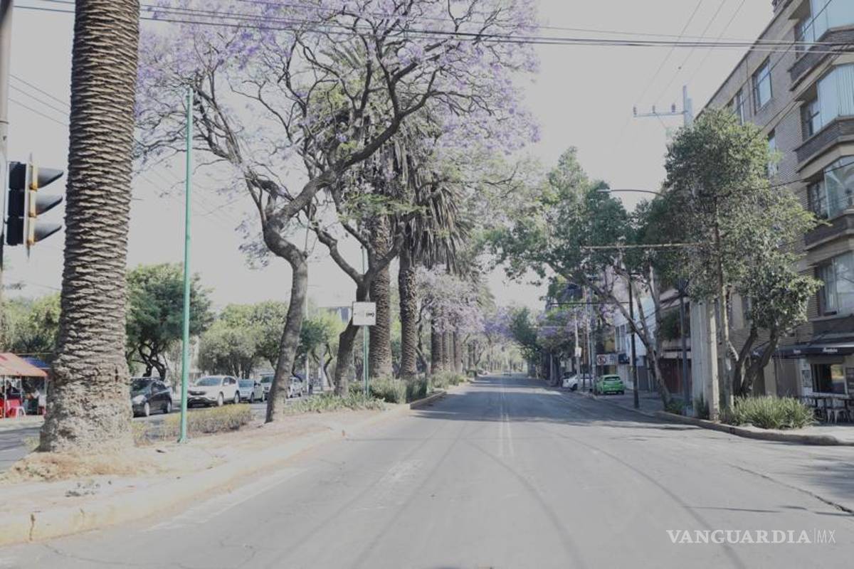 Cerrarán museos, gimnasios, iglesias, cines, teatros y bares en CDMX