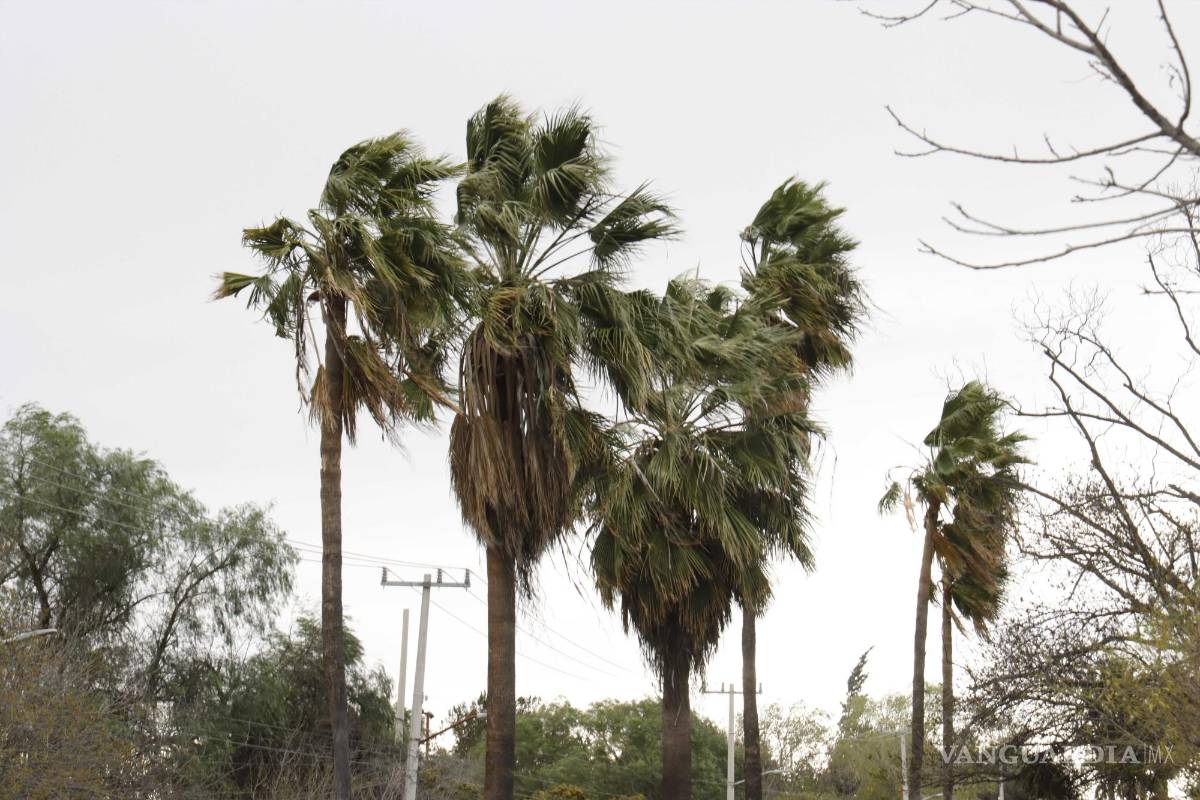 Alertan por vientos de hasta 100 kilómetros por hora en Coahuila