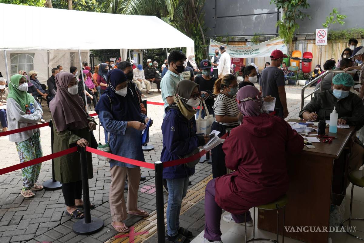 Fauna De Java Capital de Indonesia se muda a la isla de Borneo