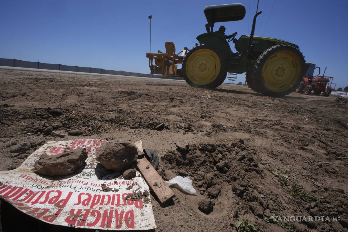 $!Las estadísticas demuestran la alta dependencia del trabajo inmigrante, destacando su peso en sectores como la agricultura (38%) y alimentos (24%) | Foto: AP