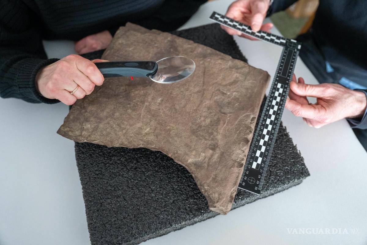 Encuentran en Noruega la estela rúnica más antigua del mundo