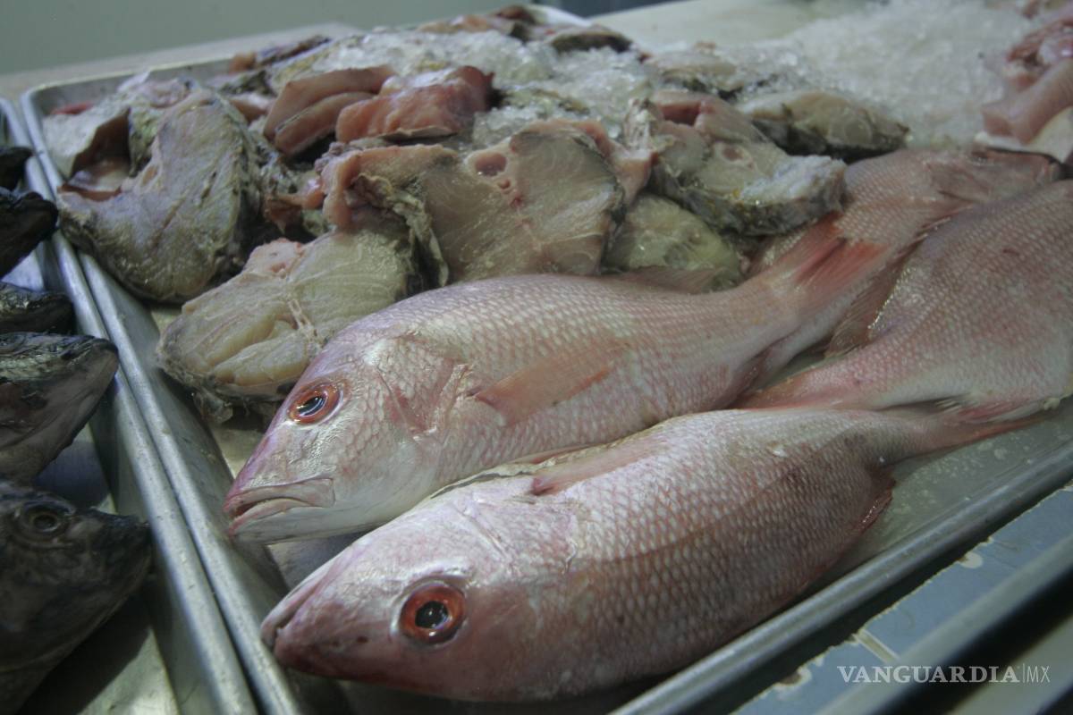 Verifica SS calidad de productos del mar en pescaderias de Coahuila