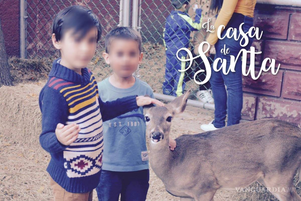 $!Muere por descuido venado que usaba Casa Alameda en Saltillo para sesiones de fotos