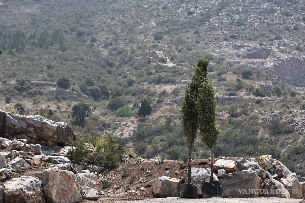 $!Desde agosto del año pasado iniciaron trabajos de limpieza y remediación ambiental.