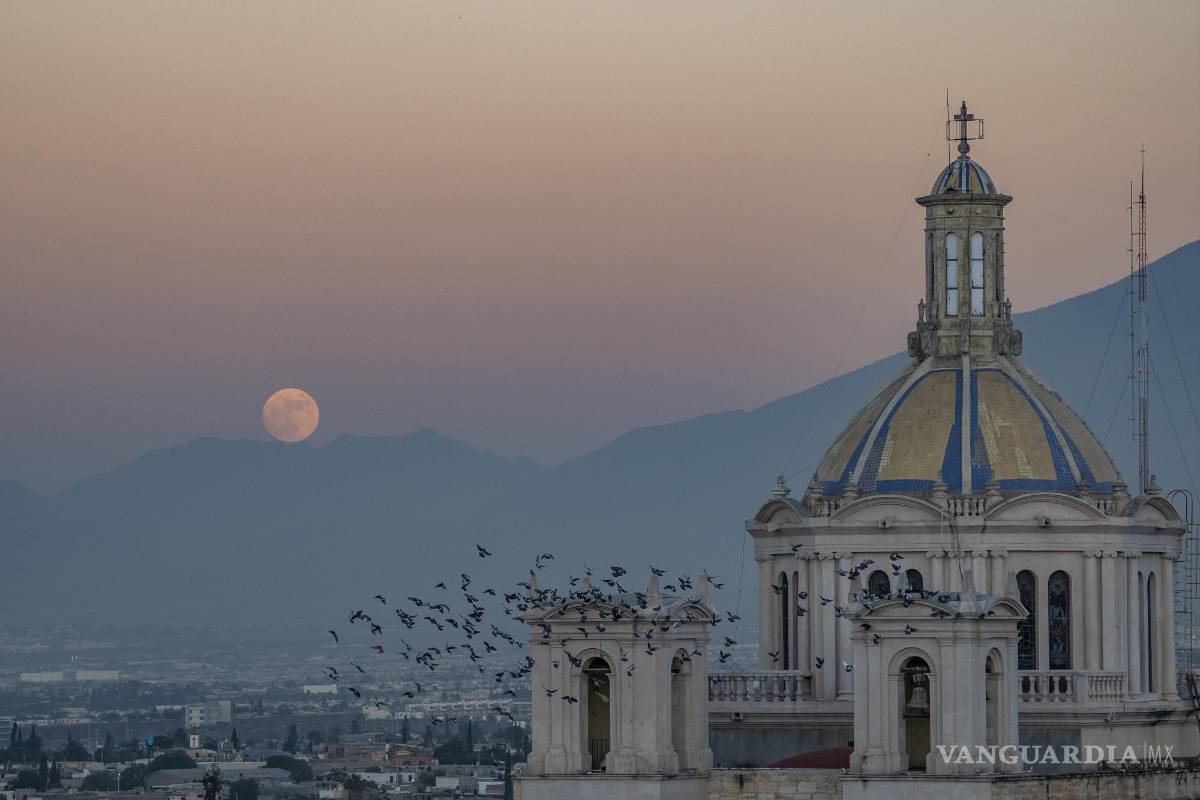 Viñetas de Saltillo