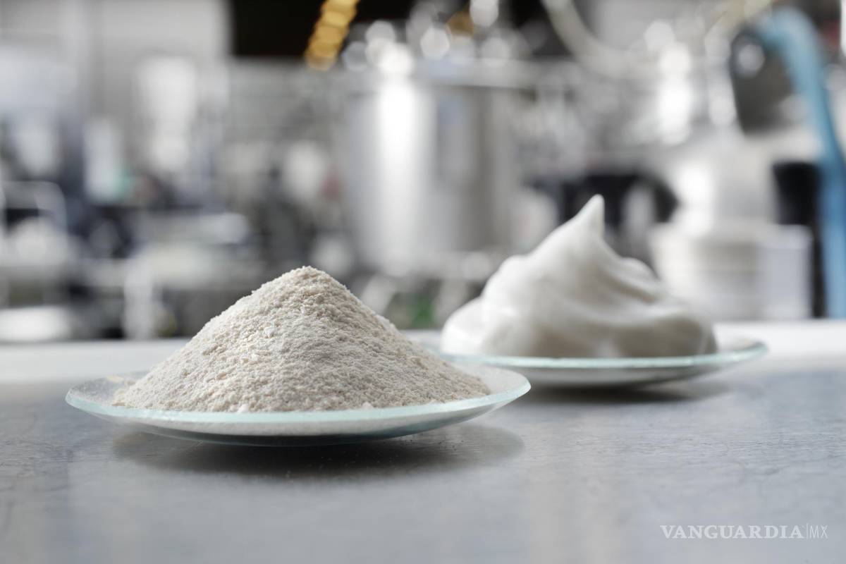 $!Polvo y espuma proteica producidas mediante biotecnología, en laboratorio. EFE/VTT