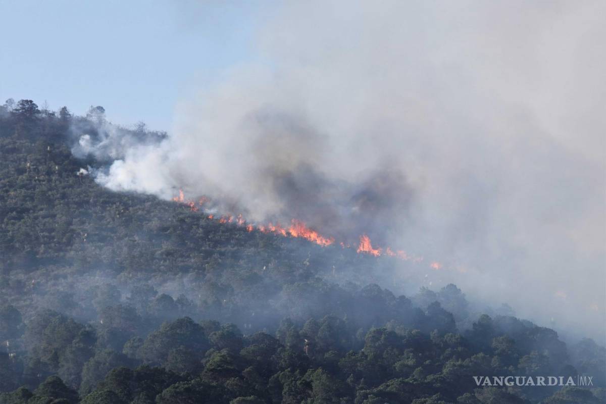 $!Ejido El Tunal, Arteaga (Coahuila) 16 de mayo de 2022. Las condiciones atmosféricas dificultan el combate a los incendios en la región sureste.