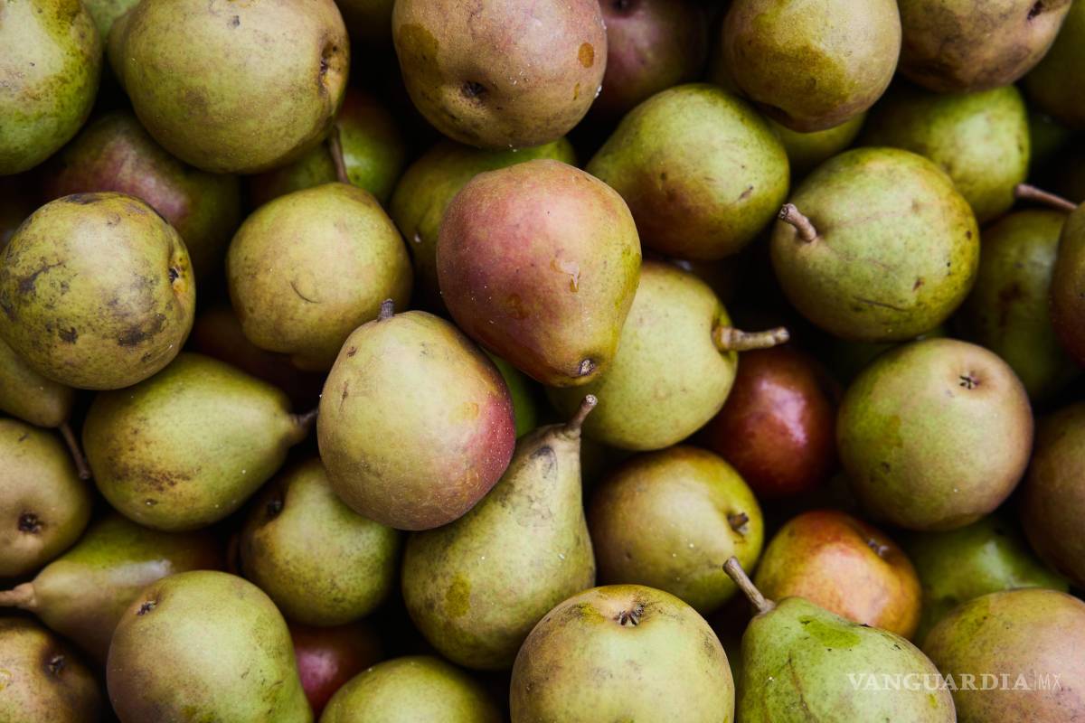 $!Las calabazas de invierno, como la delicata o butternut, concentran pigmentos naturales que ayudan a proteger la piel y la salud ocular.