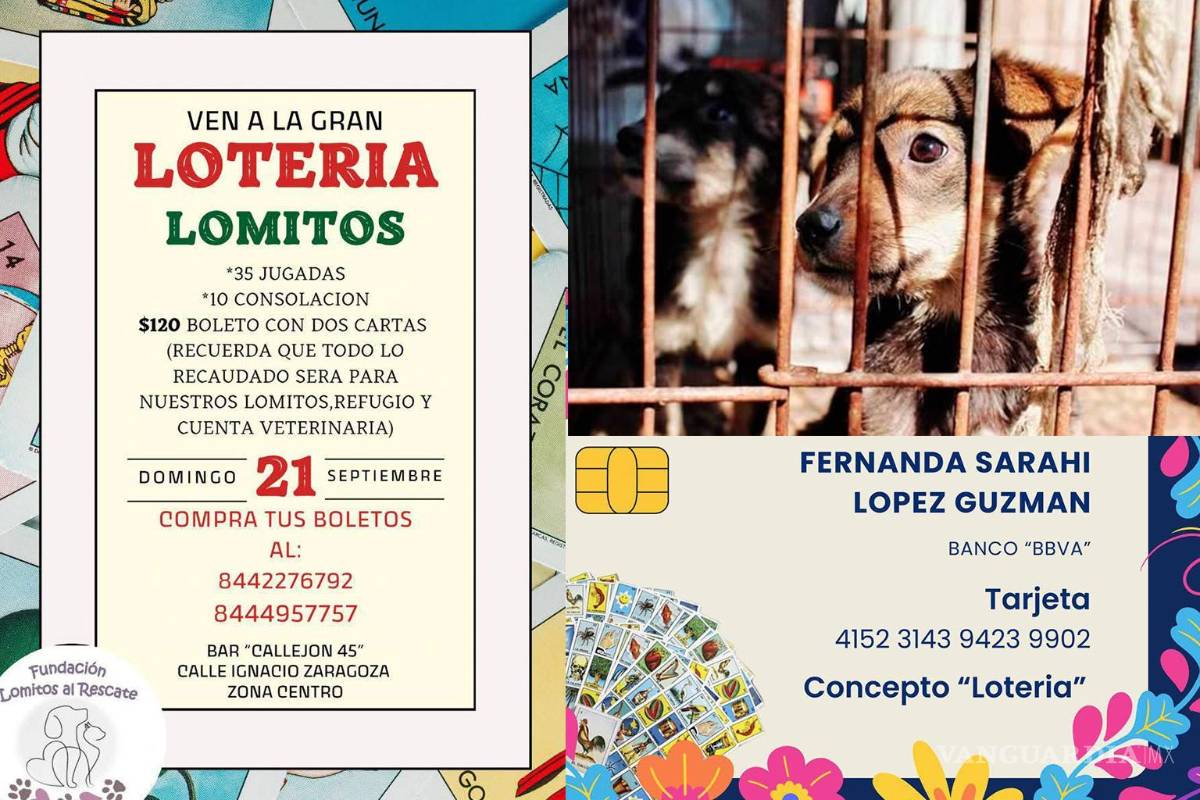 Con lotería continuarán su labor de rescatar perritos en Saltillo