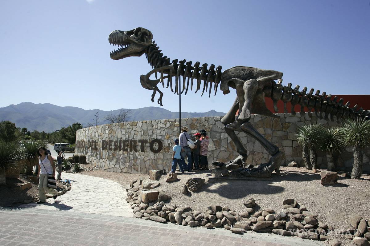Tendrá Saltillo su China Dinosaurus Park, al lado del Museo del Desierto