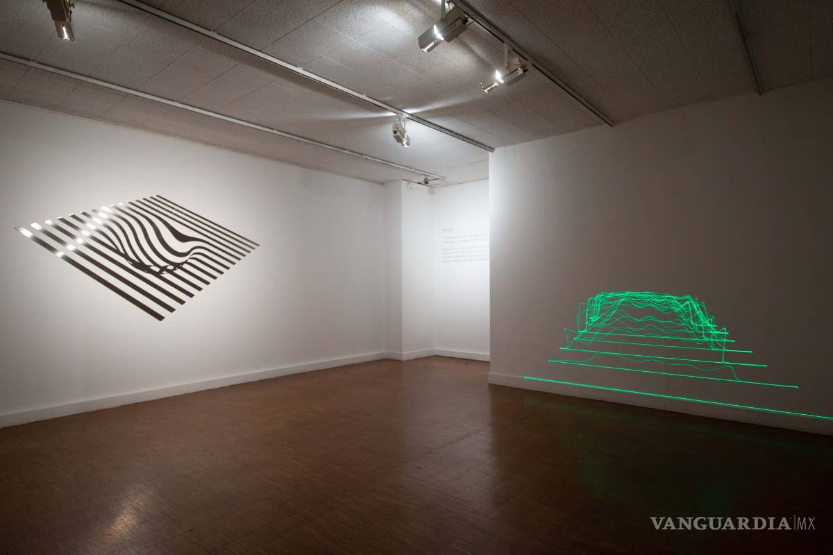 $!‘Extinción continua’: Avelina y Alejandro Fuentes Quezada exponen en Francia