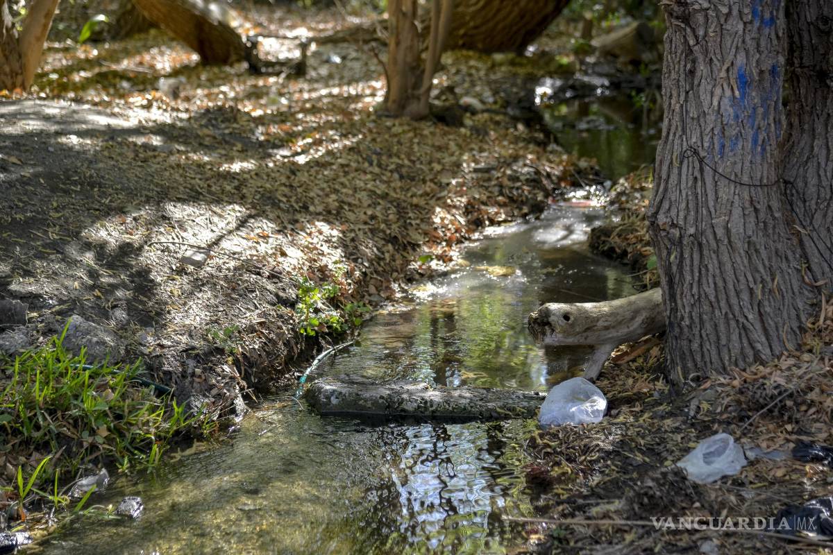 Alto grado de contaminación del Pozo Azul vuelve letal entorno para Carpita de Saltillo
