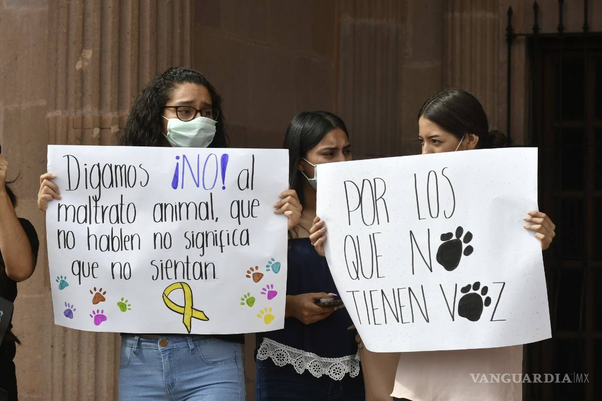 $!Se manifiestan saltillenses en el Congreso; exigen mayor castigo contra el maltrato animal