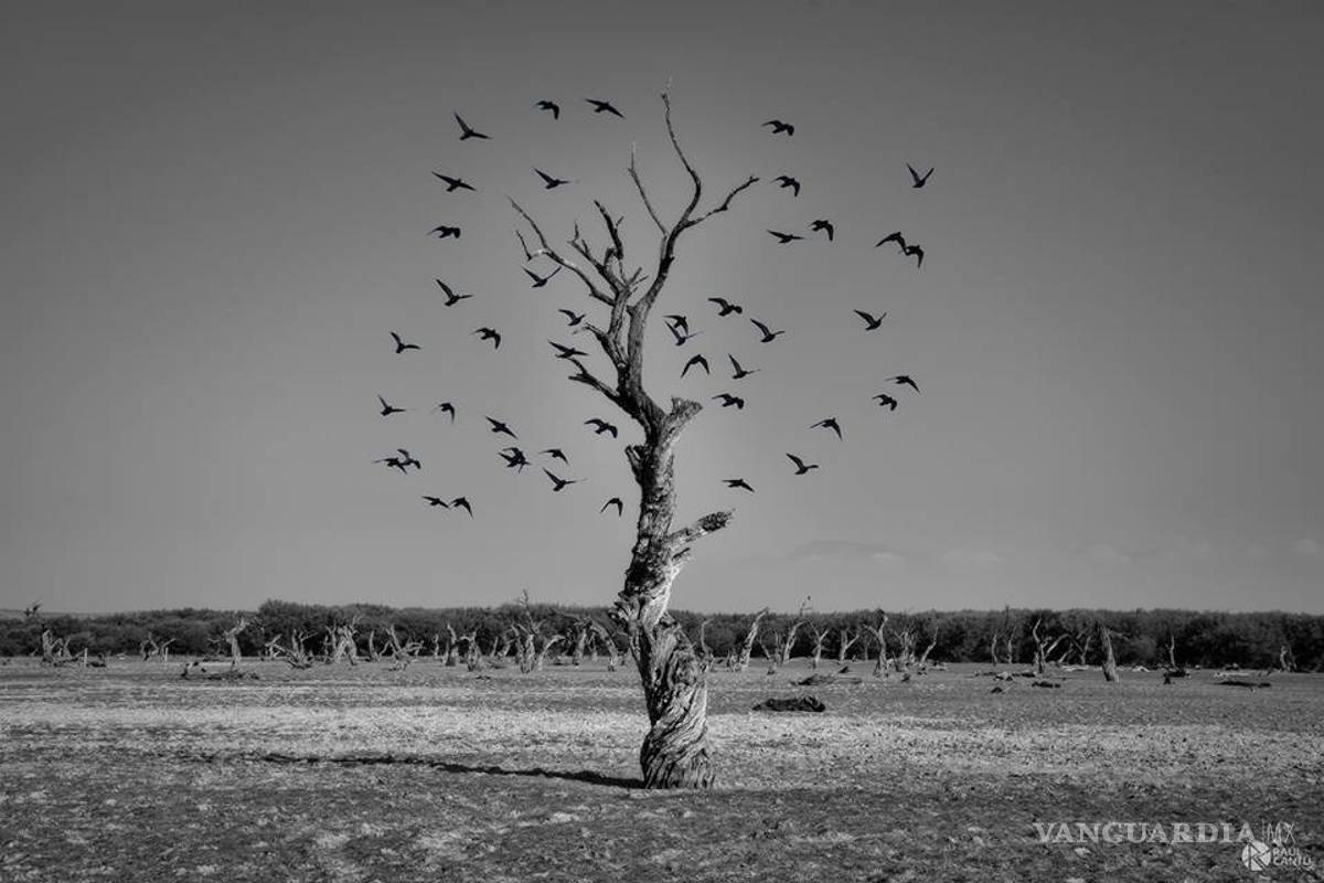 #SoyFotógrafo: Fotos y redes sociales en Saltillo