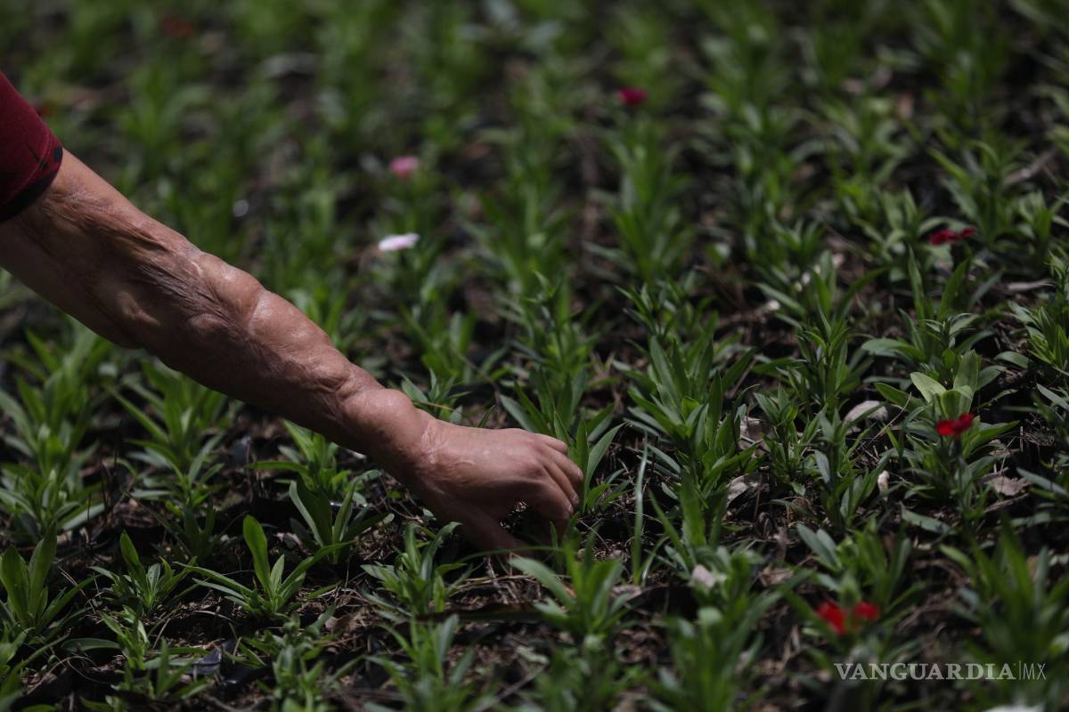 $!Elisa Xolalpa, mujer sobreviviente de ataque con ácido por su entonces pareja Ciudad de México (México).