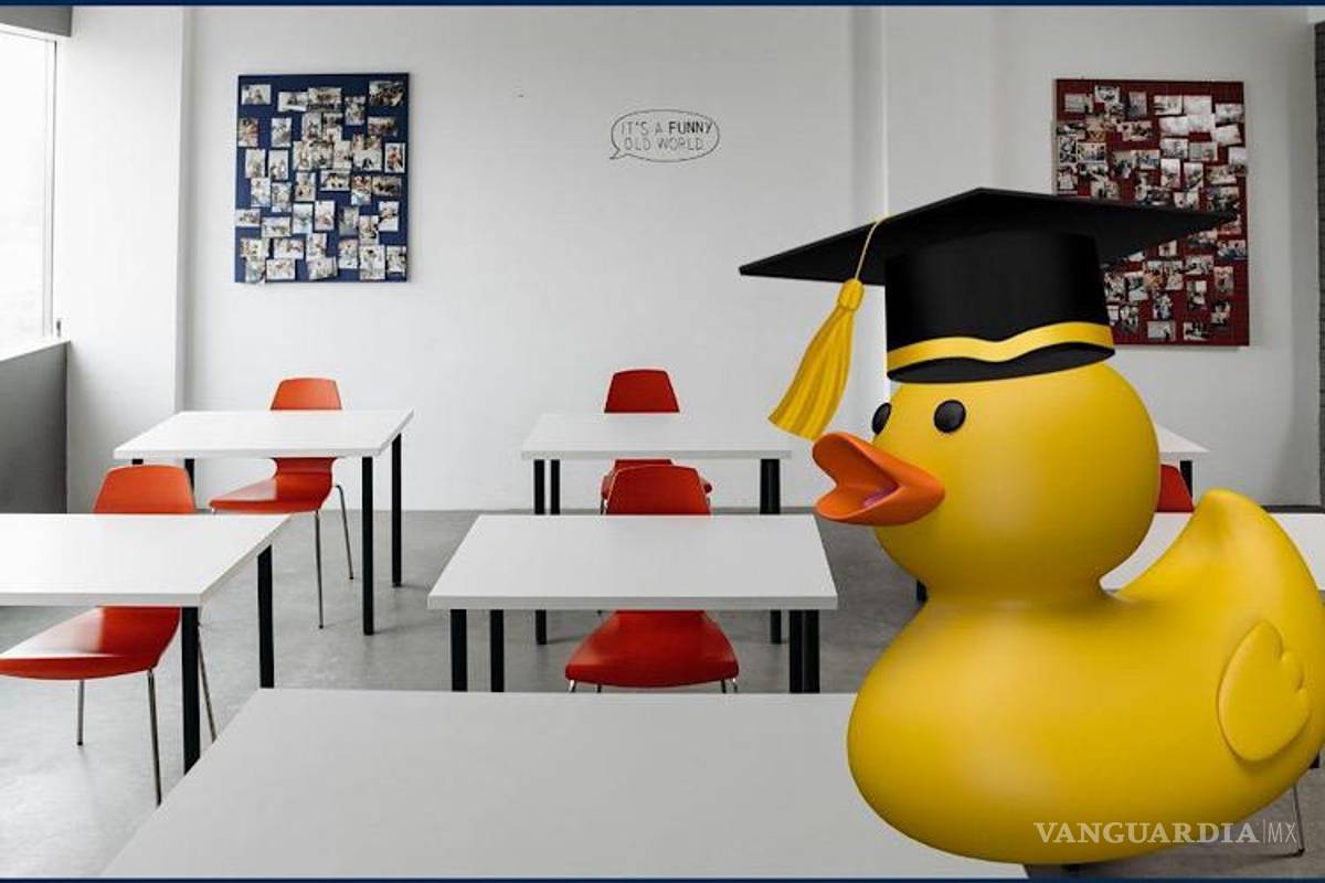 ‘Universidades patito’: ¿por qué se les permite abusar?