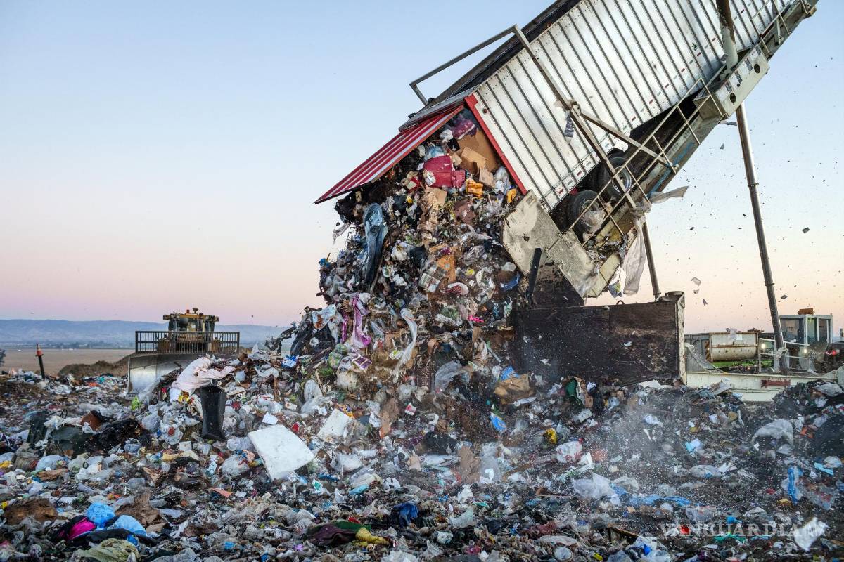 Buscan que comida en buen estado no llegue a la basura