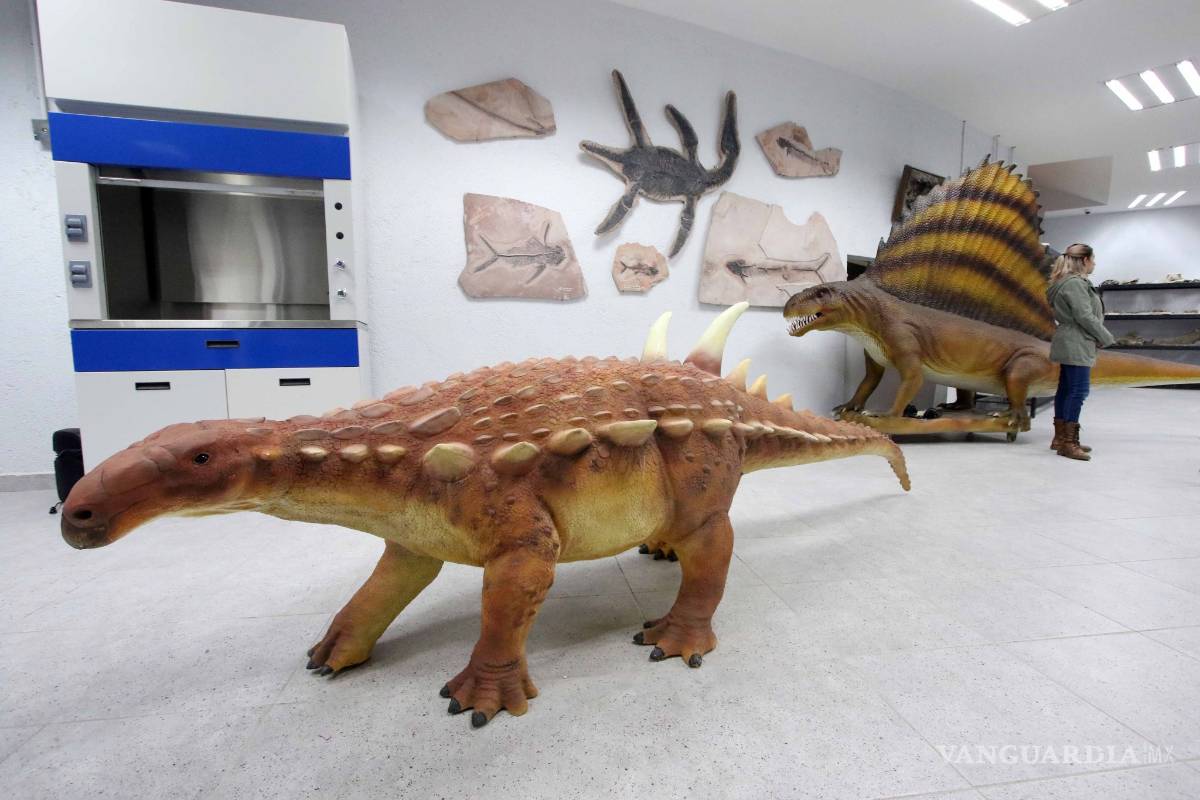 $!Museo del Desierto de Saltillo acerca a la gente a sus investigadores para que aprecien su trabajo en laboratorio