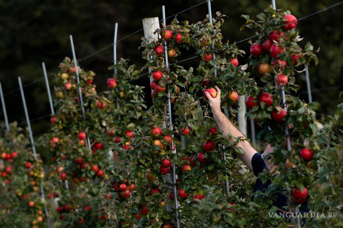 $!Si no se efectúan cambios sustanciales en el sistema alimentario, los peores efectos del cambio climático serán inevitables.