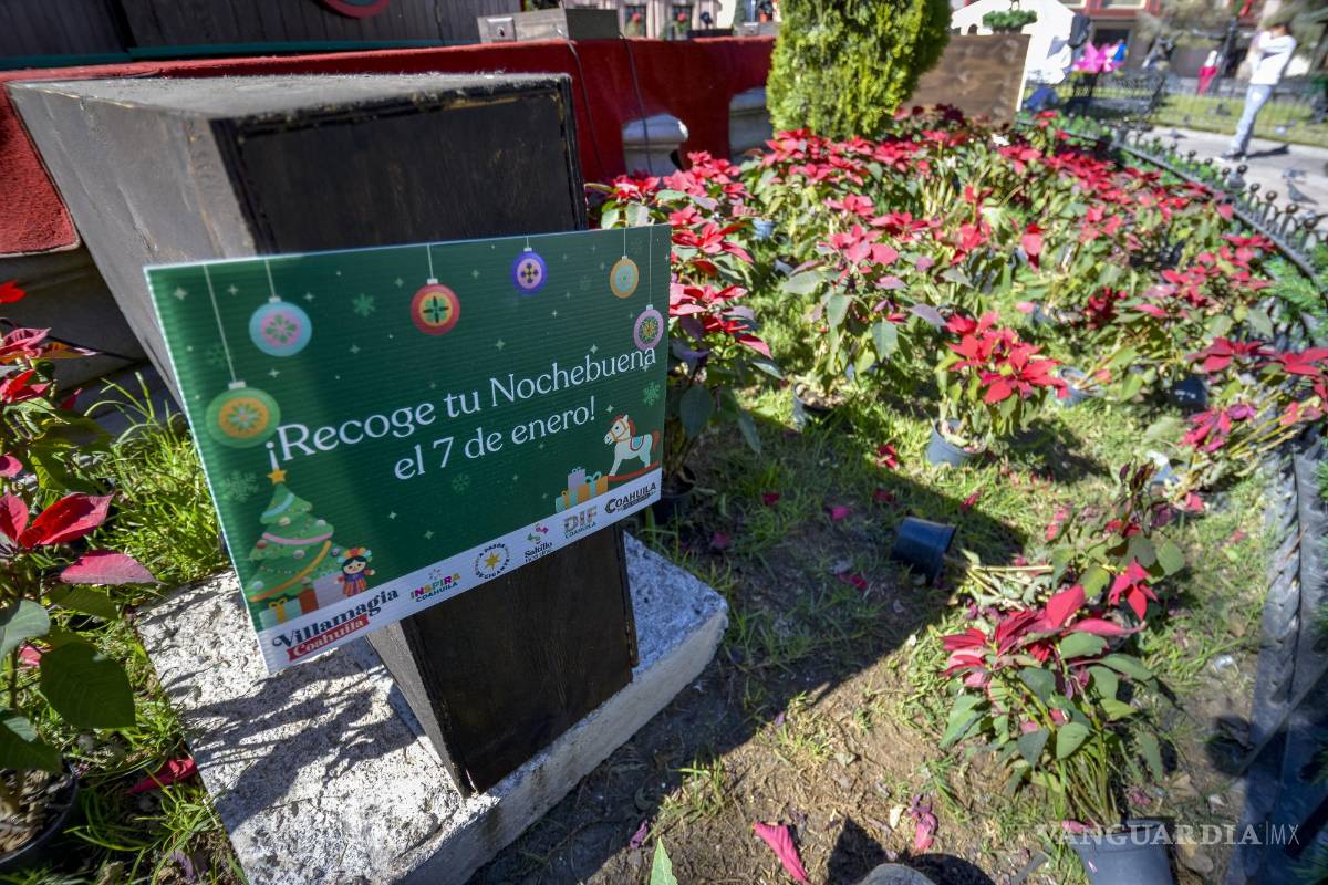 ¿Vas a ir por tu nochebuena el 7 de enero a la Villamagia de Saltillo?, debes saber esto