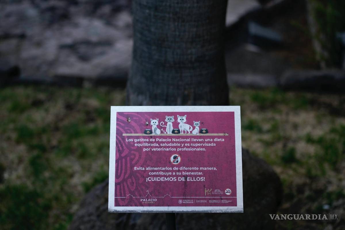 $!Un cartel advierte a los visitantes que eviten alimentar a los gatos que rondan el Palacio Nacional en Ciudad de México.