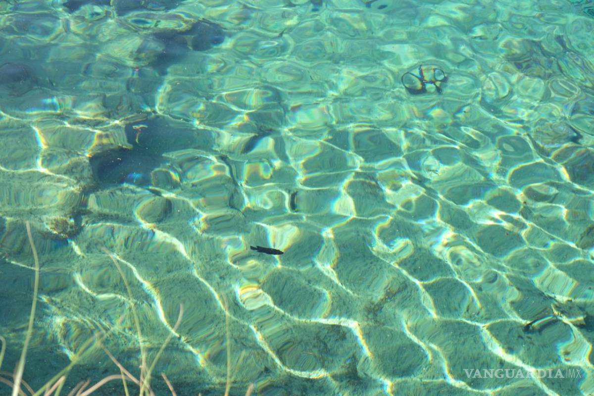 ‘Regalos de Cuatrociénegas’, un proyecto para sensibilizar sobre la problemática de este valle coahuilense