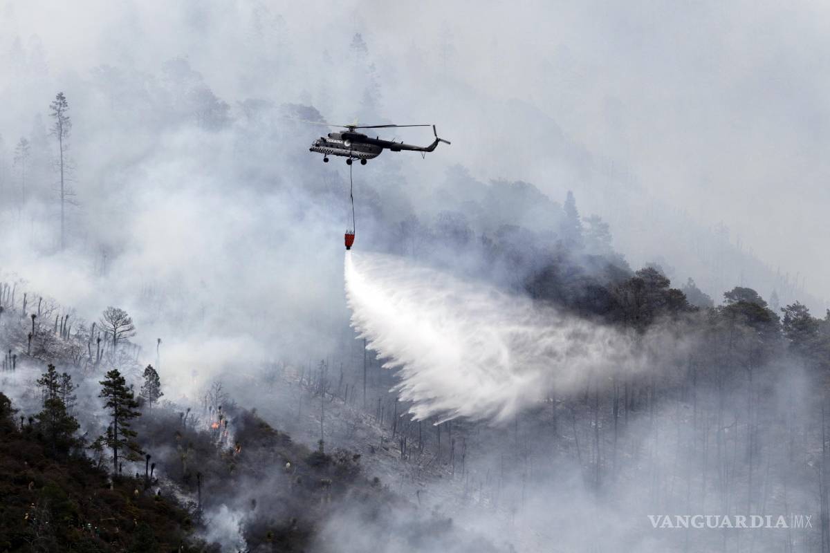 No hay indicios de que incendio fuera provocado