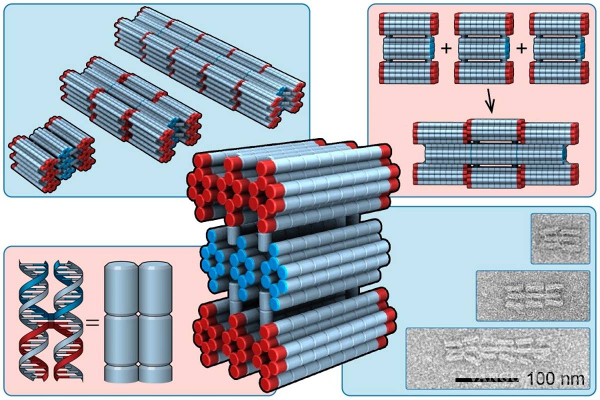 $!Nanobots, robots de ADN que permitirán curar heridas, desobstruir arterias y administrar medicamentos