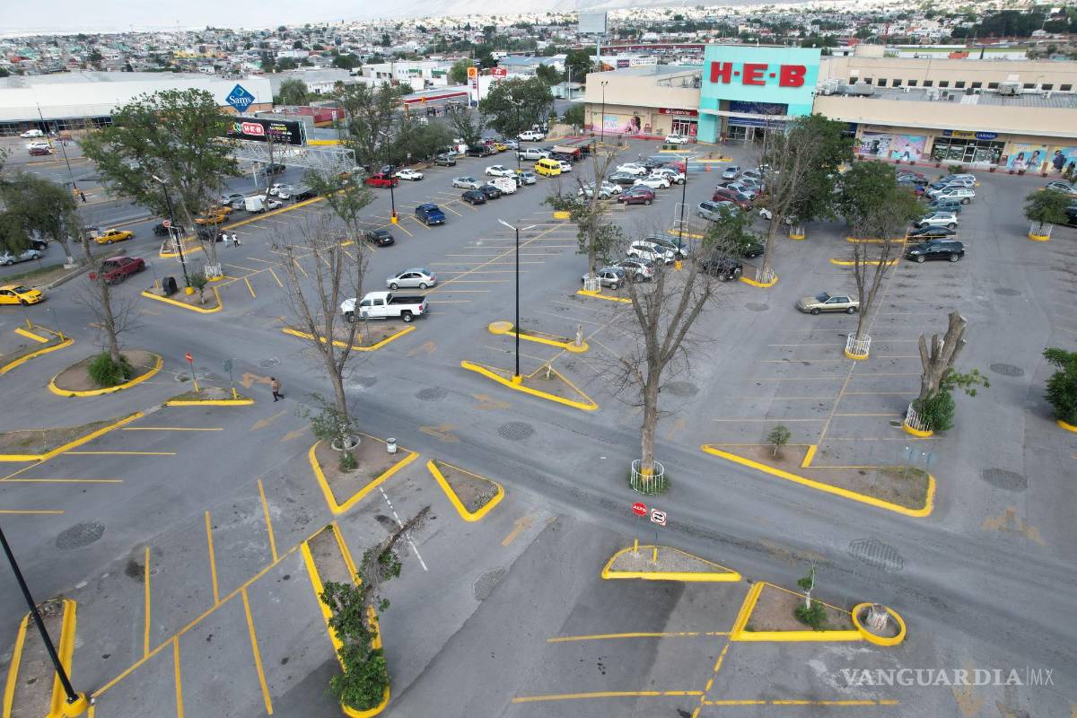 Se queda plaza comercial de Saltillo sin sus característicos nogales