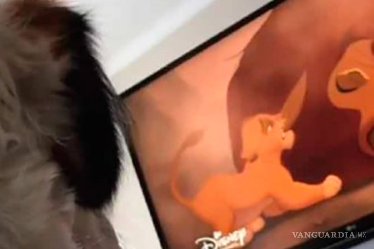 Perrita llora con la muerte de Mufasa en “El Rey León” (video)