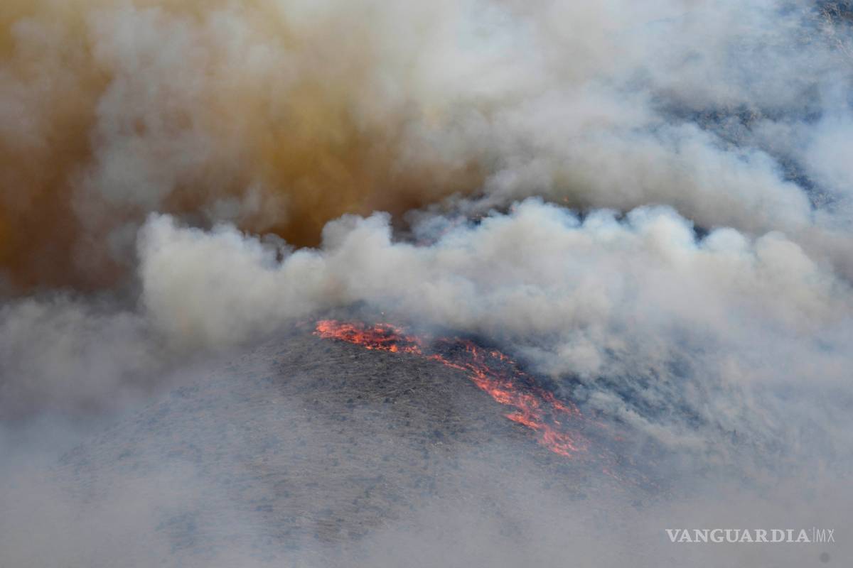 Causa cortocircuito incendio forestal en sierra de Saltillo