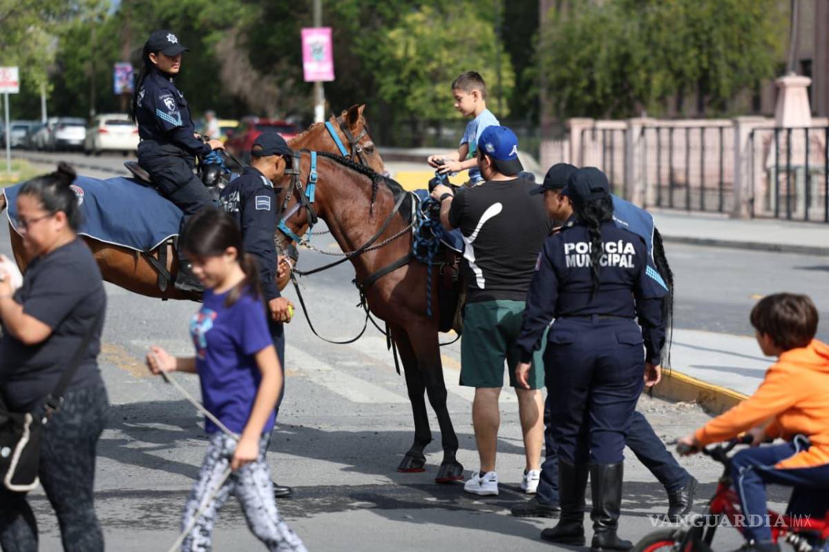 $!La Comisaría de Seguridad y Protección Ciudadana presentó a los ejemplares de la Unidad Canina K9 y al agrupamiento de la policía montada.