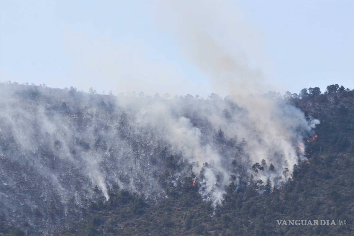 Saltillo: revive incendio forestal en Cañón de San Lorenzo; brigadistas combaten el fuego