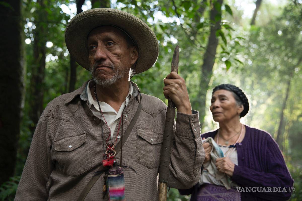 &quot;Sueño en otro idioma&quot;, película mexicana compite en el Festival de Cine de Huelva