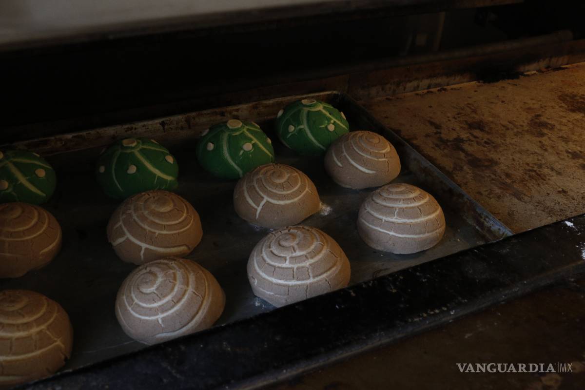 $!Hacen en Saltillo la Concha de Mazapán y la 'Peyoteconcha'