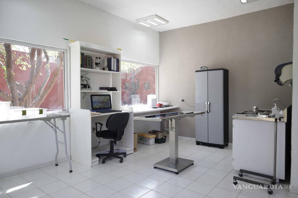 $!Las complicaciones con las que llegan los pacientes, en ocasiones requieren de asesores médicos externos, especialistas.